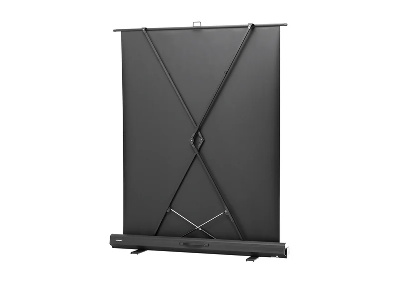 celexon Leinwand Ultramobil Professional Plus