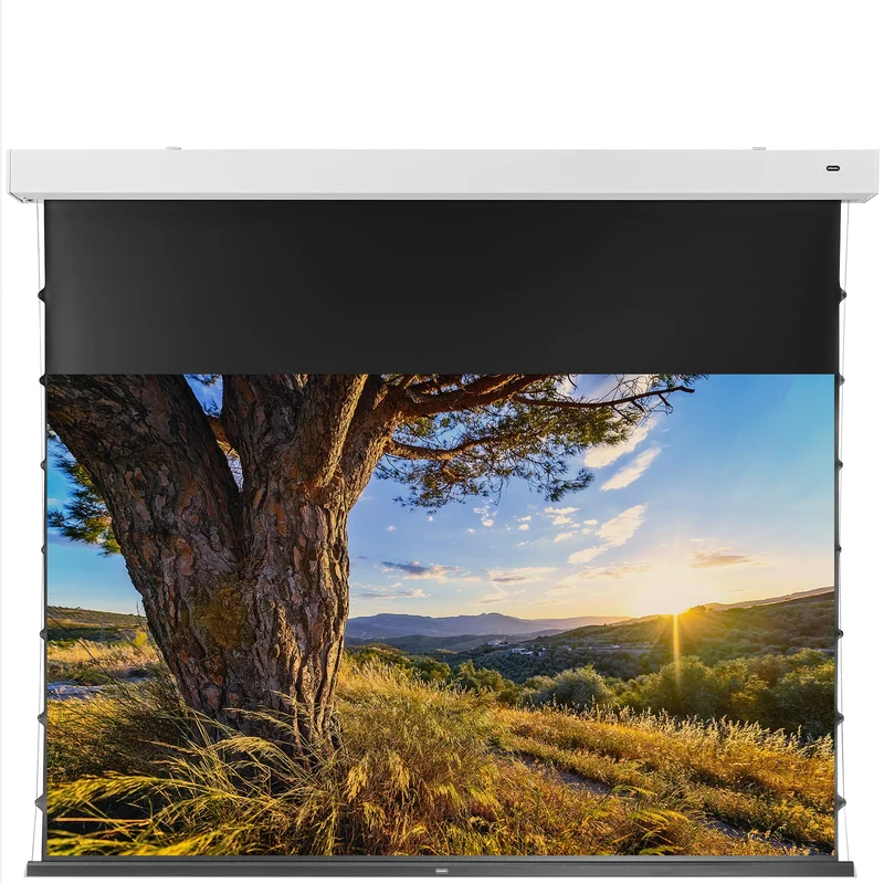 celexon 4K Pro MWHT Leinwand Premium Plus 298 x 168cm - 135" Tension Motorleinwand