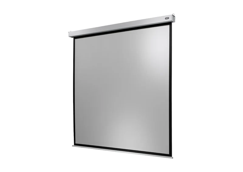 celexon Leinwand Motor Professional Plus