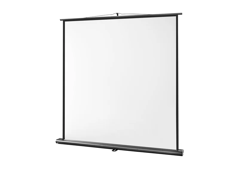 celexon Leinwand Ultramobil Professional
