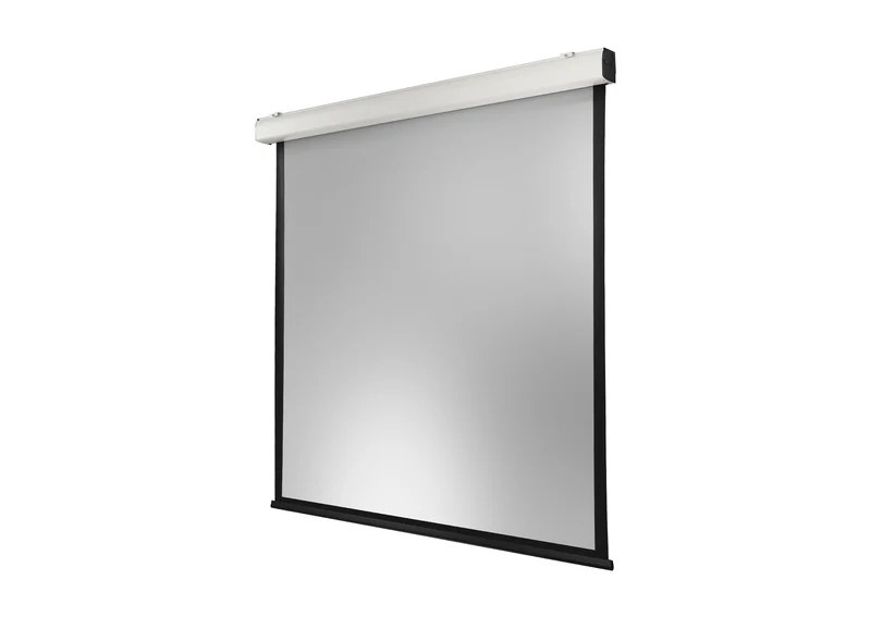 celexon Leinwand Motor Expert XL