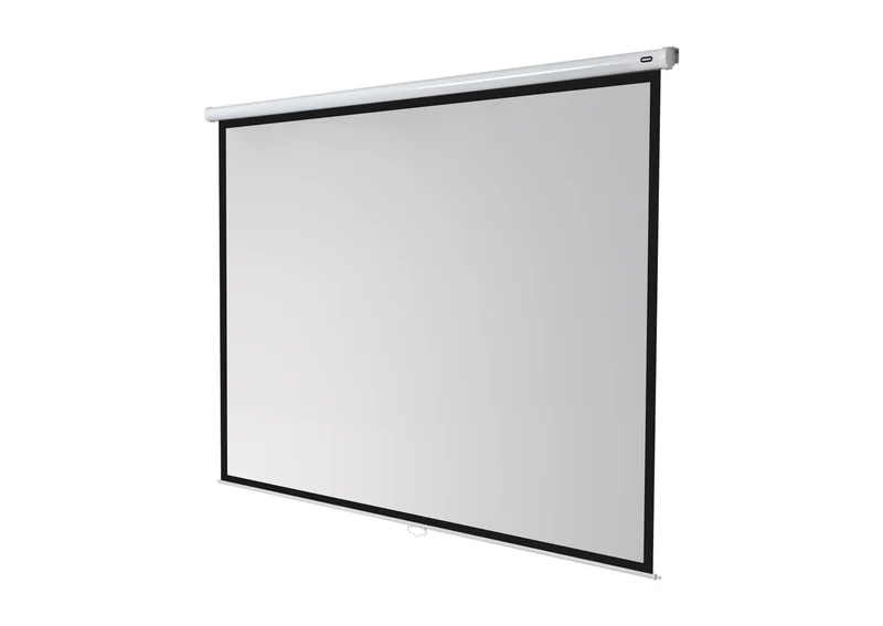 celexon Leinwand Rollo Economy