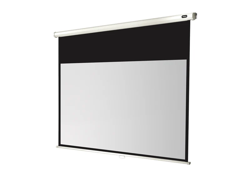 celexon Leinwand Rollo Economy