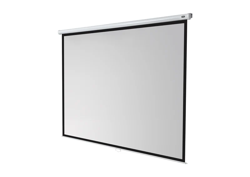 celexon Leinwand Rollo Economy
