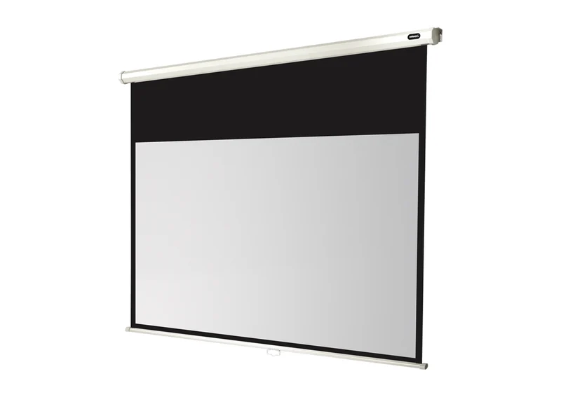 celexon Leinwand Rollo Economy