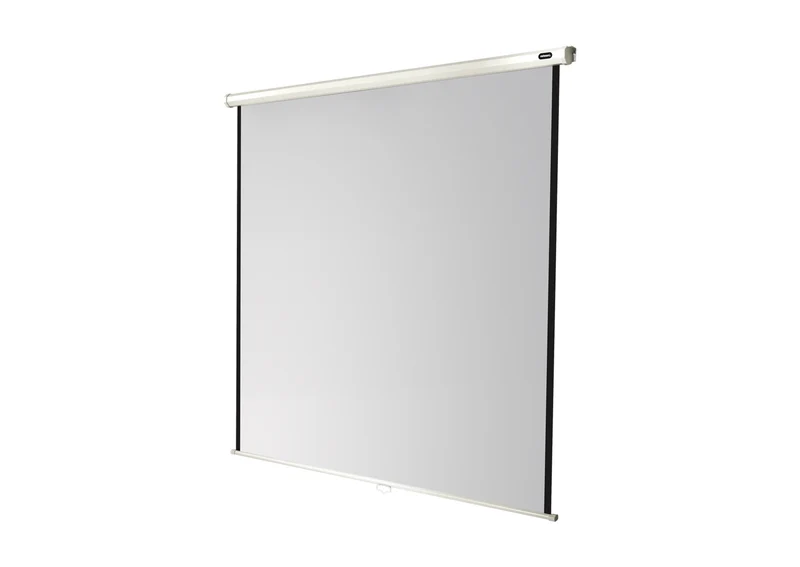 celexon Leinwand Rollo Economy