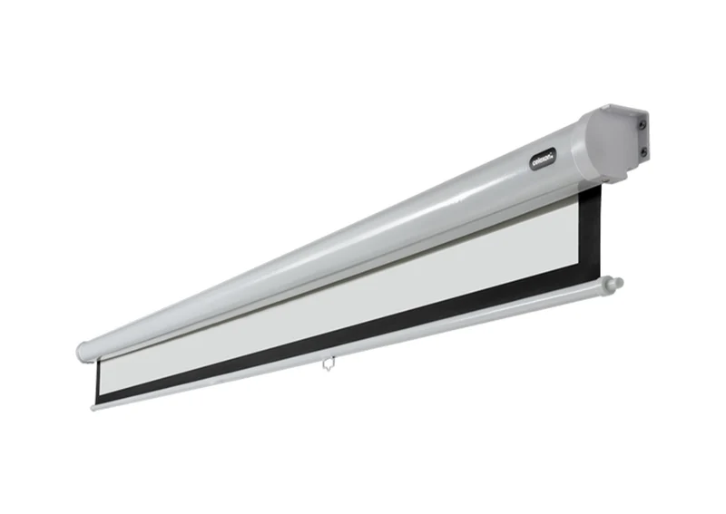 celexon Leinwand Rollo Economy