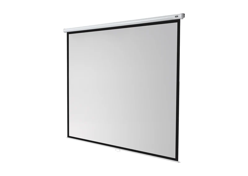 celexon Leinwand Rollo Economy