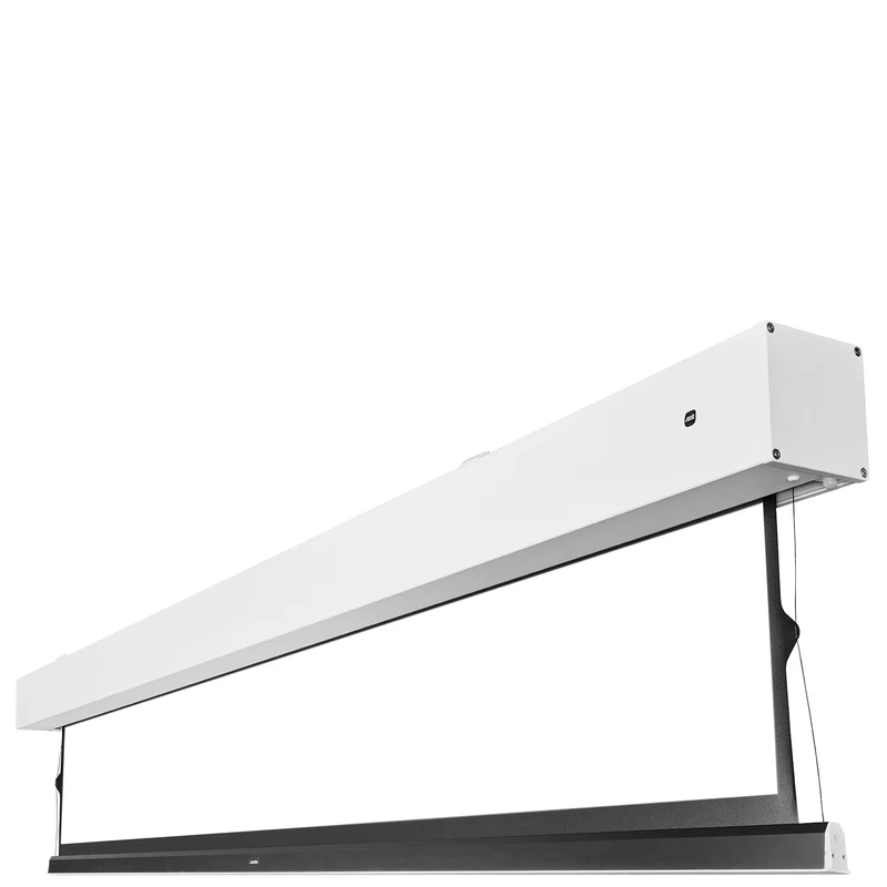 celexon 4K Pro MWHT Leinwand Premium Plus 221 x 124cm - 100" Tension Motorleinwand