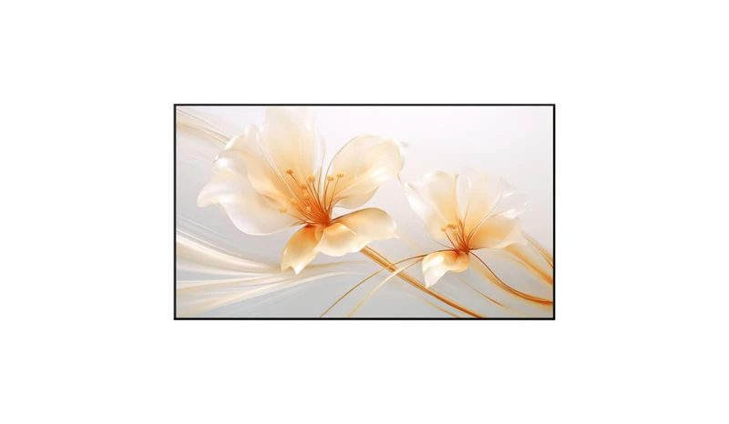 XGIMI Frensel UST Kontrastleinwand 220 x 124cm - 100" Rahmenleinwand