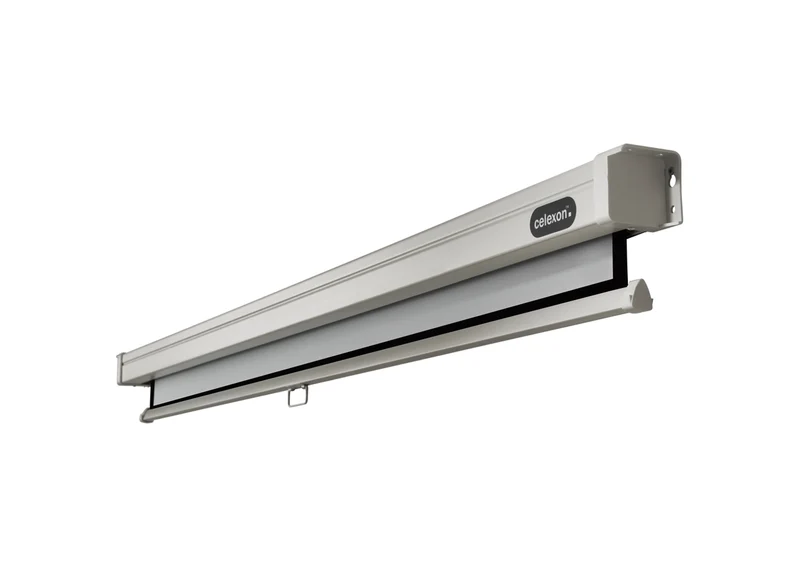 celexon Leinwand Rollo Professional