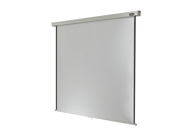 celexon Leinwand Rollo Professional