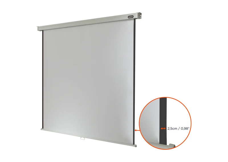 celexon Leinwand Rollo Professional