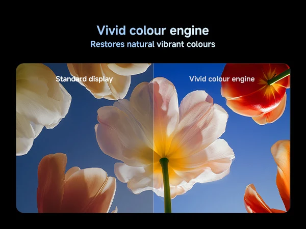Xiaomi TV S Mini LED 55 Inch 2026