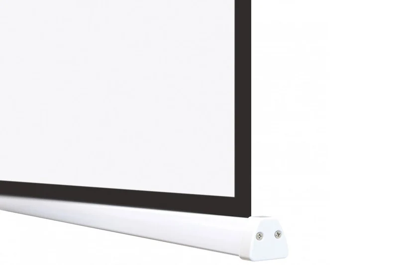 celexon Professional Akku Leinwand II 220 x 124cm - 100" Wireless Motorleinwand