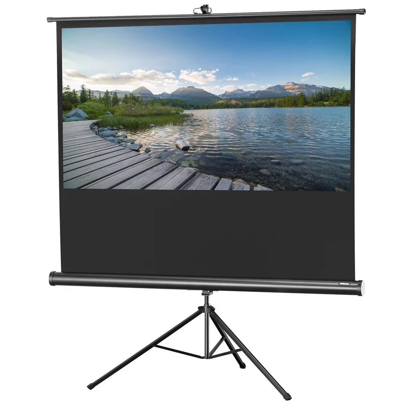 celexon Economy Mobile 244 x 138cm - 110" Stativleinwand