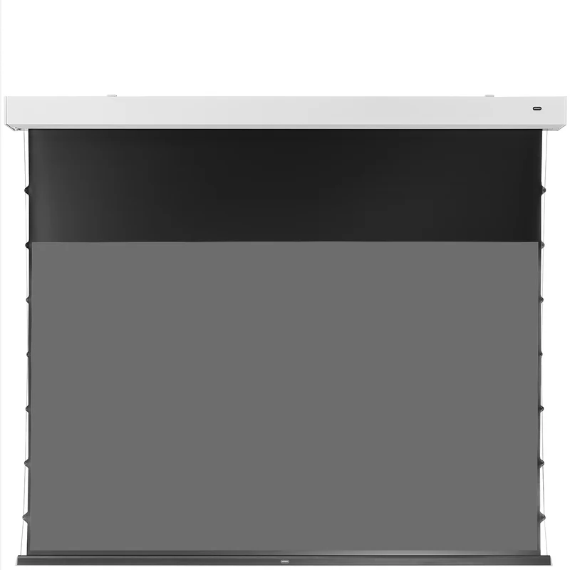 celexon Darkvision Kontrastleinwand Premium Plus 265 x 149cm - 120" Tension Motorleinwand