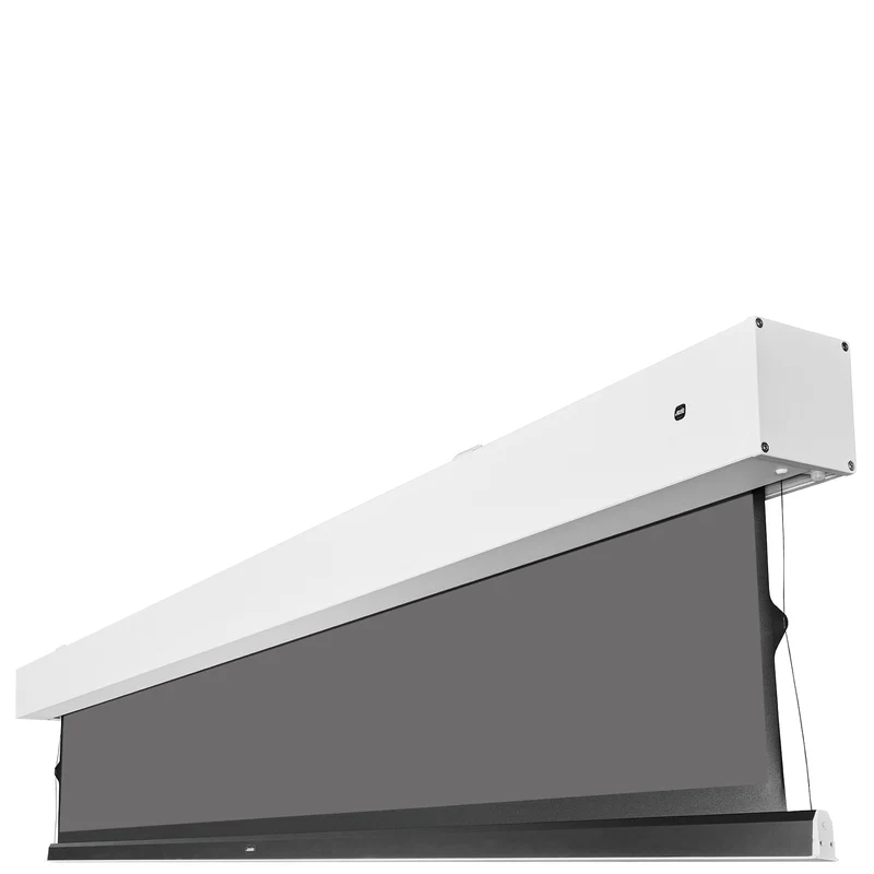 celexon Darkvision Kontrastleinwand Premium Plus 221 x 124cm - 100" Tension Motorleinwand