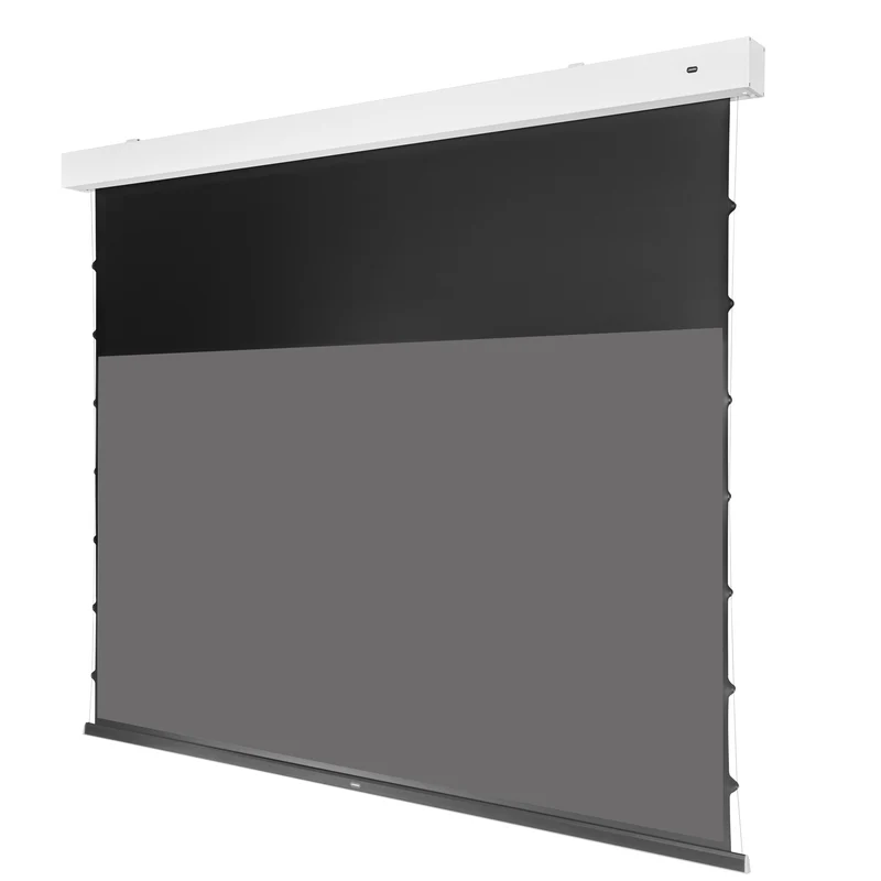 celexon Darkvision Kontrastleinwand Premium Plus 203 x 114cm - 92" Tension Motorleinwand