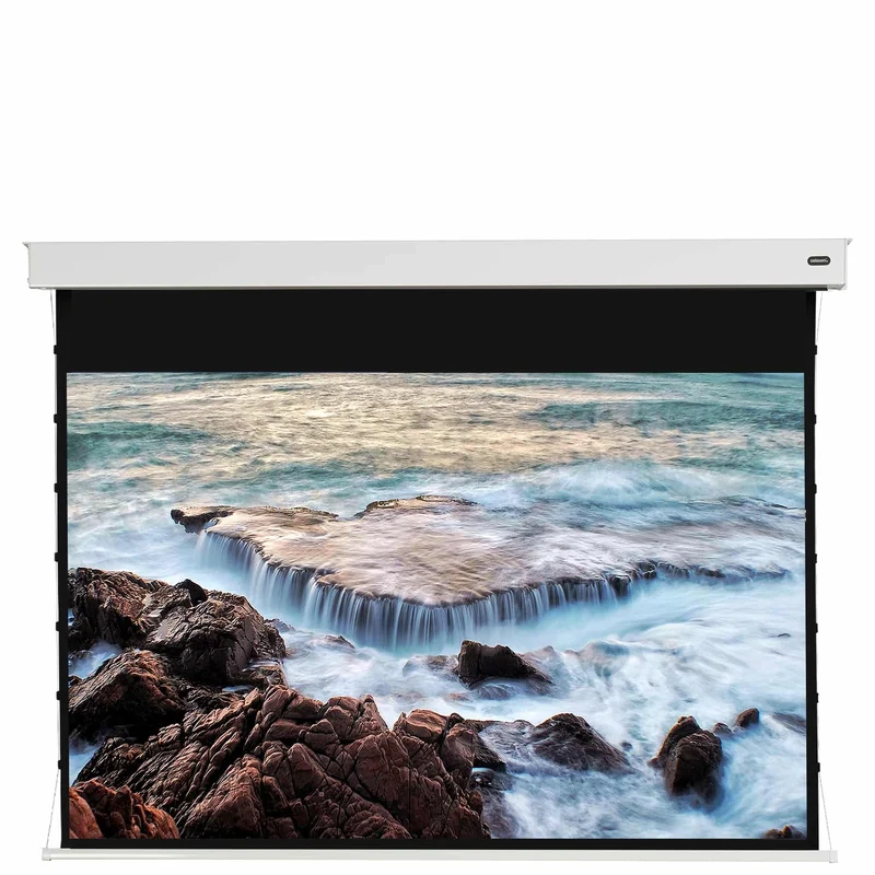 celexon Pearlstone Kontrastleinwand Professional Plus 221 x 124cm - 100" Akku Tension Motorleinwand