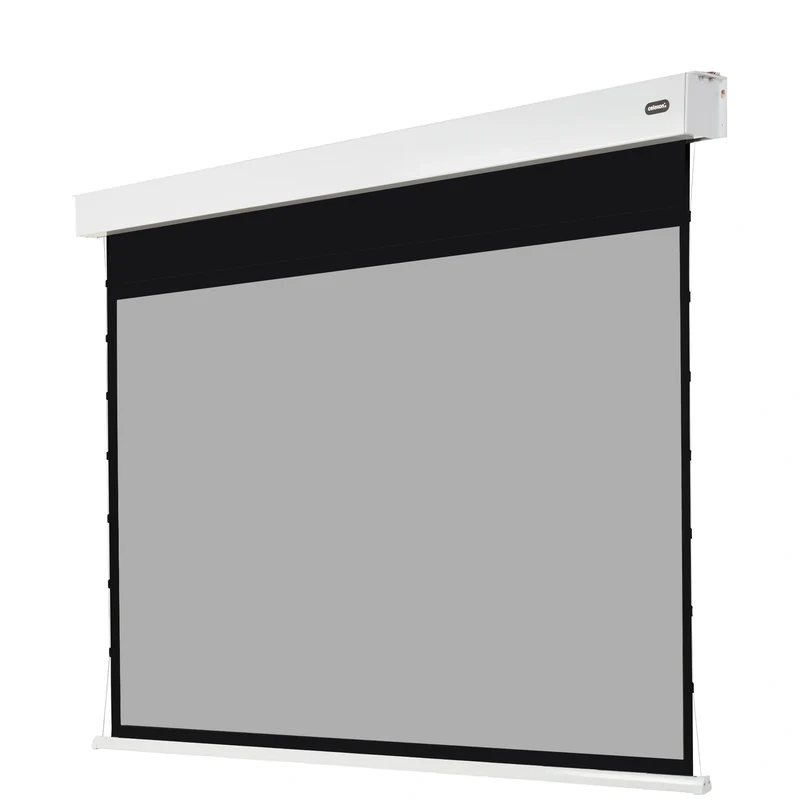 celexon Pearlstone Kontrastleinwand Professional Plus 221 x 124cm - 100" Akku Tension Motorleinwand