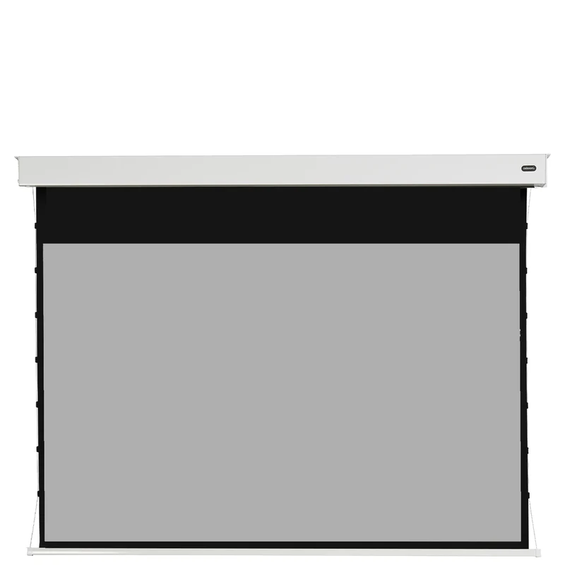 celexon Pearlstone Kontrastleinwand Professional Plus 300 x 169cm - 135" Akku Tension Motorleinwand