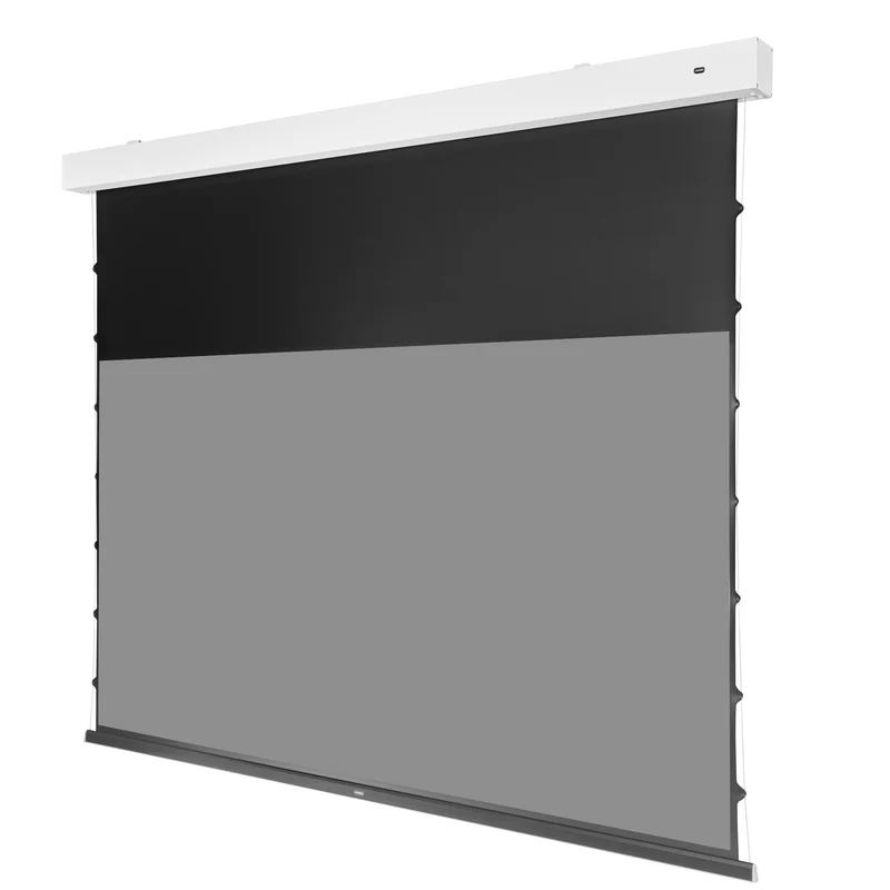 celexon Greyvision Kontrastleinwand Premium Plus 265 x 149cm - 120" Tension Motorleinwand