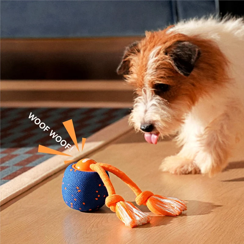 Cheerble Wicked Ball Rolly (Royal Blue)