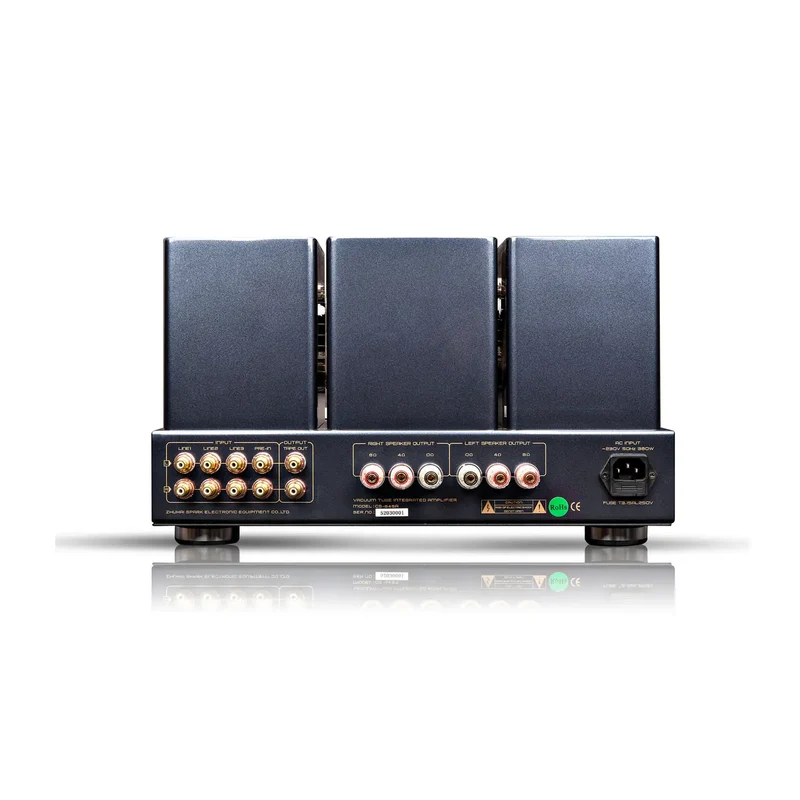 Cayin CS-845A Reference