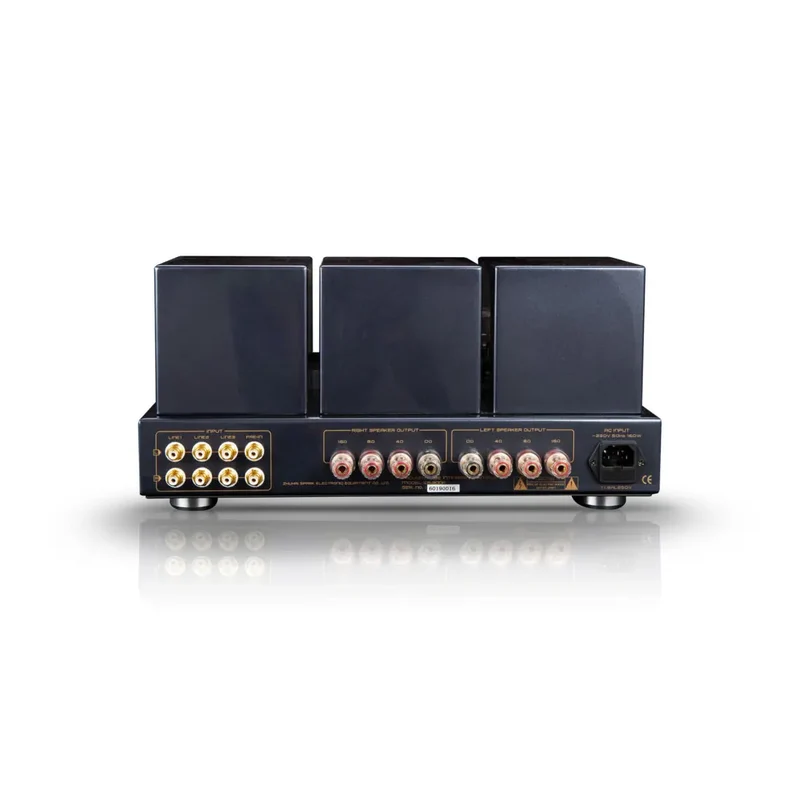Cayin CS-300A