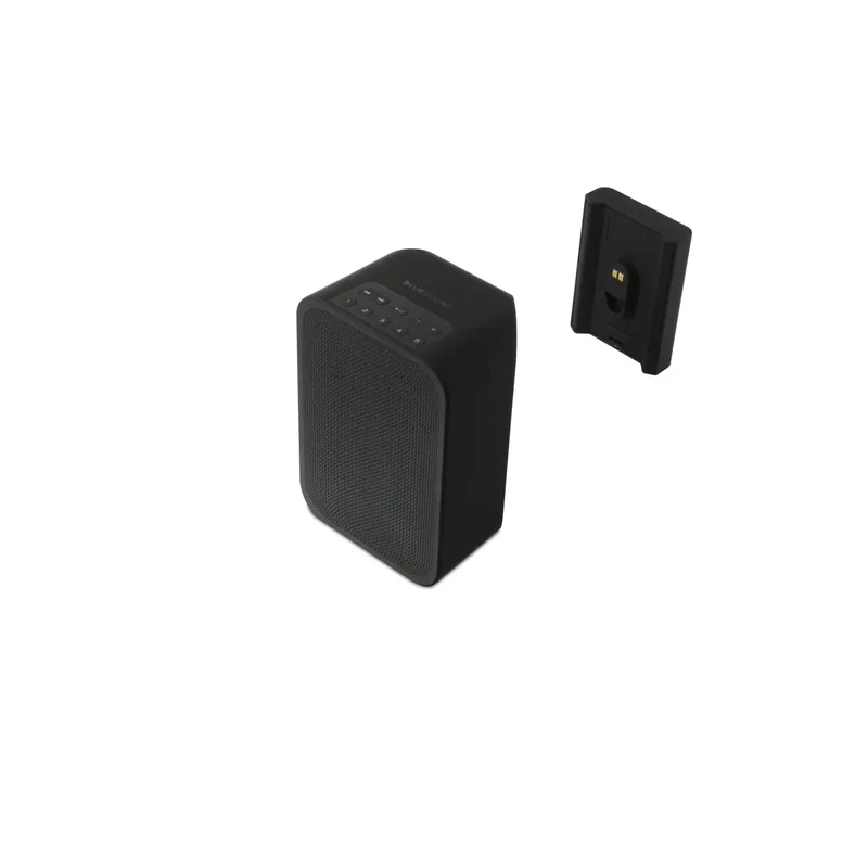 Bluesound BP 100 Pulse Flex Battery Pack