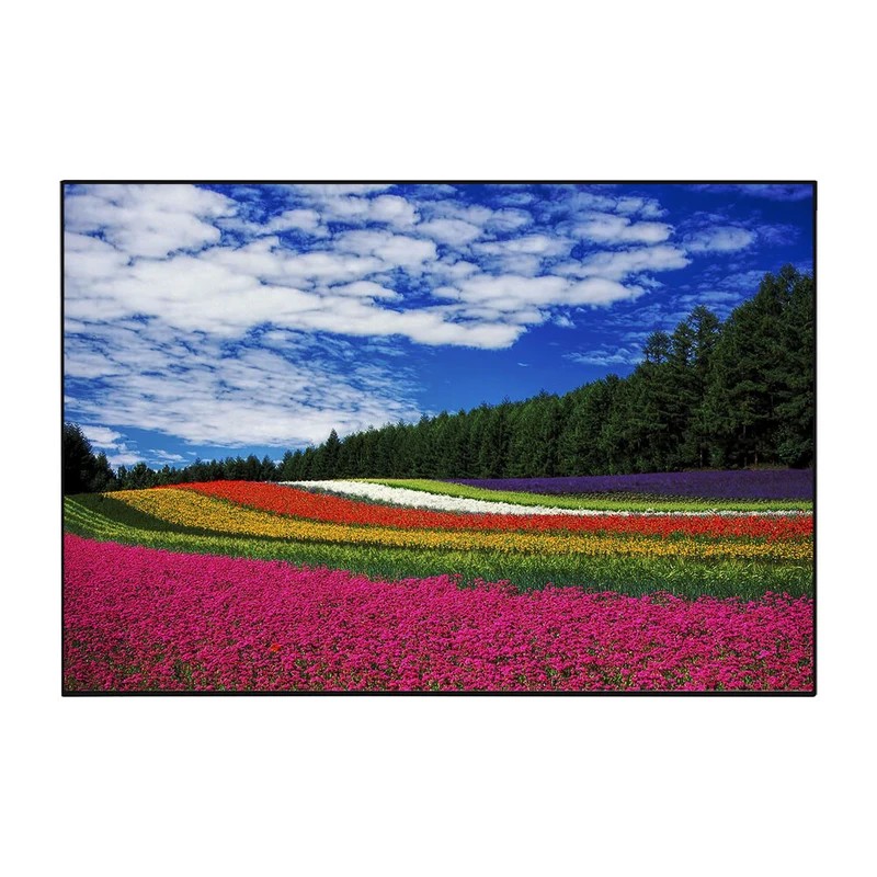 celexon HomeCinema Dynamik Slate ALR Hochkontrast Rahmenleinwand