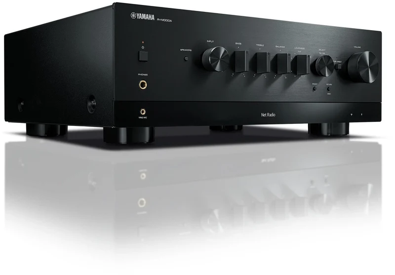 R-N1000A