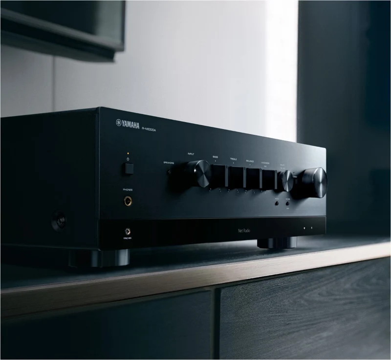 R-N1000A