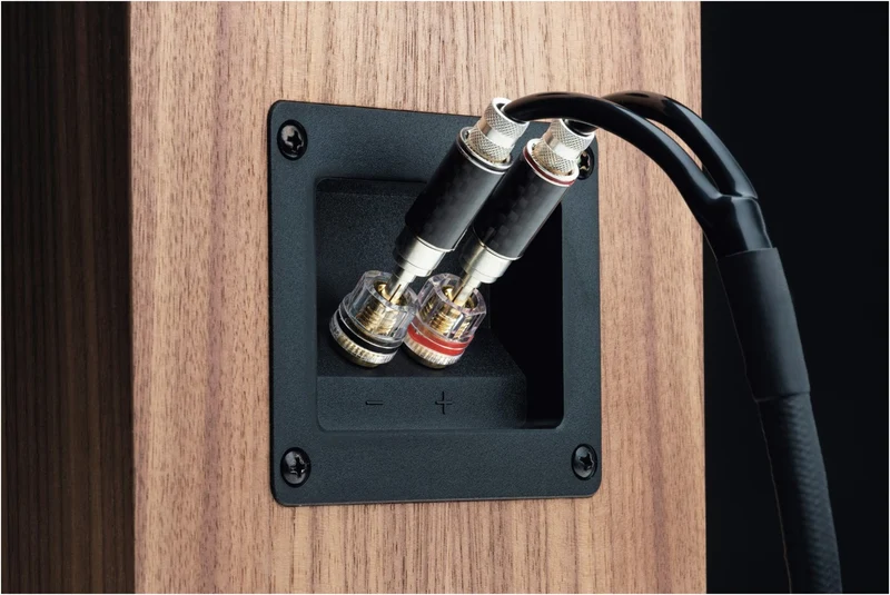 Speaker Box 5 S2