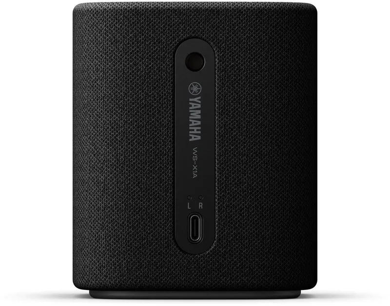True X Speaker 1A