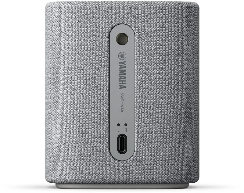 True X Speaker 1A
