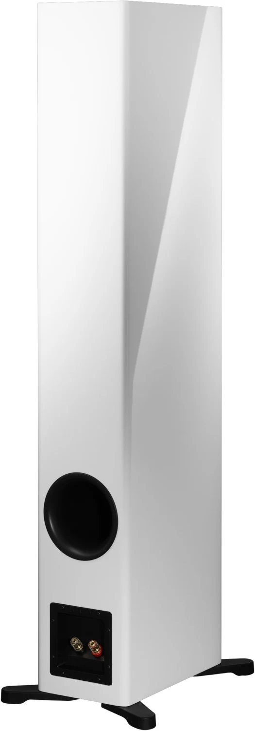 Evoke 50