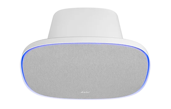 AVer FONE700 Deckenlautsprecher mit Verbindungshub – Perfekte Audiolösung für Ihren Meetingraum (inkl. 10m Kabel)