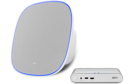 AVer FONE700 Deckenlautsprecher mit Verbindungshub – Perfekte Audiolösung für Ihren Meetingraum (inkl. 10m Kabel)