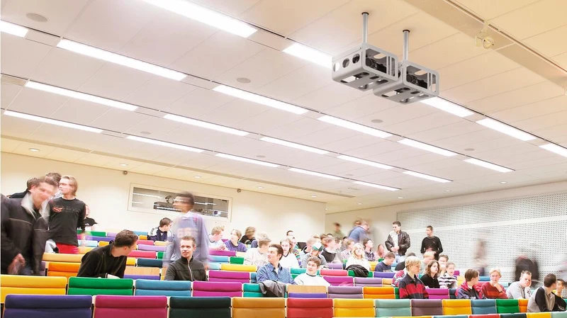 Vogel's PPA 310 - großes Projektorgehäuse mit Diebstahlschutz, silber