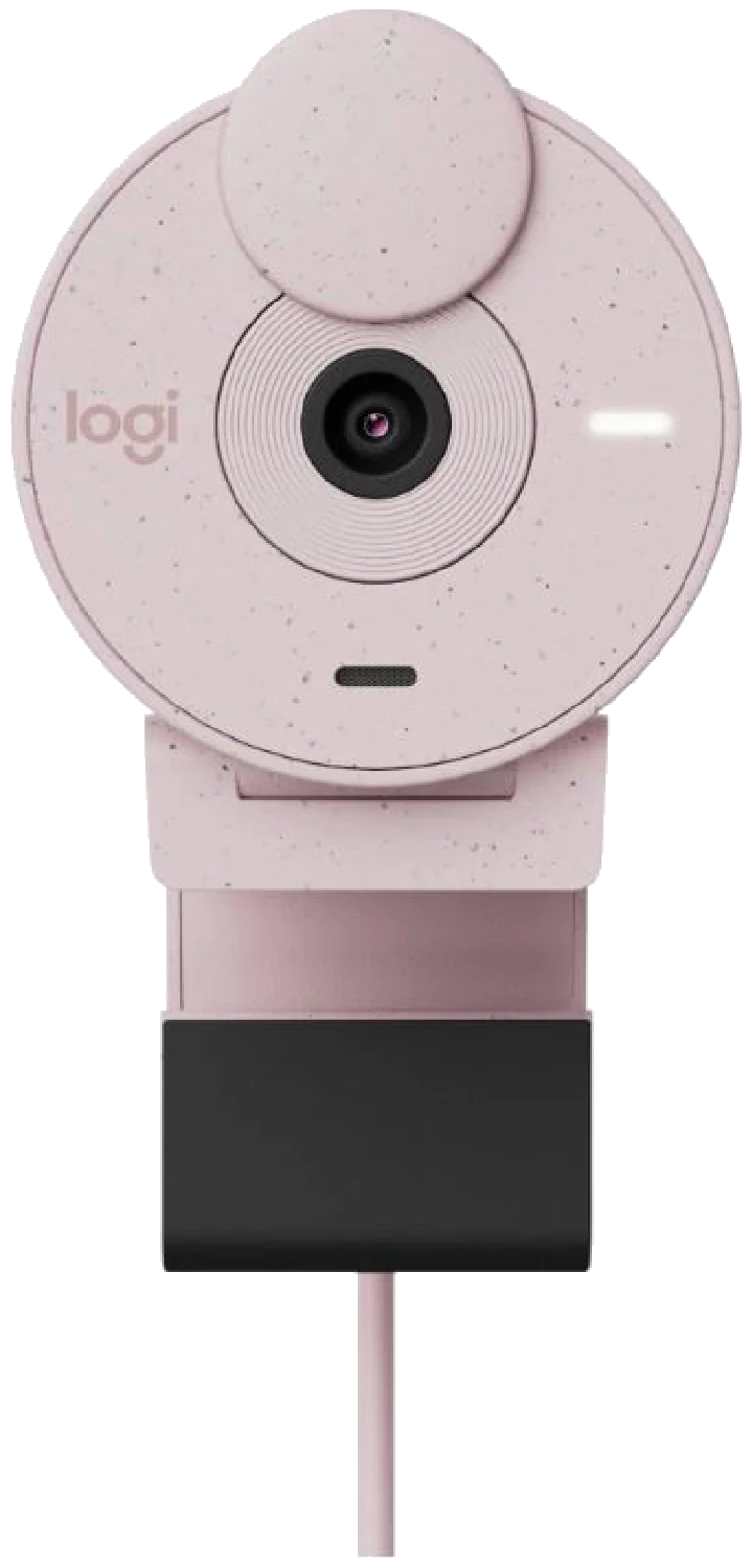 Logitech Brio 300 Full HD webcam (Rose)