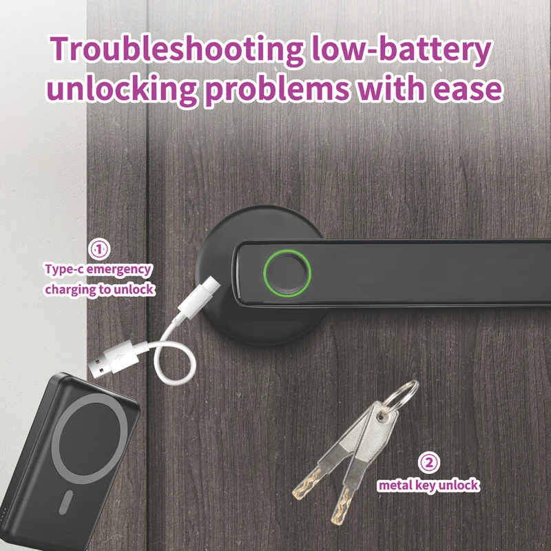 Connect SmartHome Internal Door Handle with Fingerprint Scanner