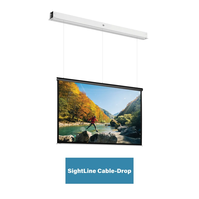 Projecta DescenderPro SightLine Motorleinwand Mattweiss 16:9