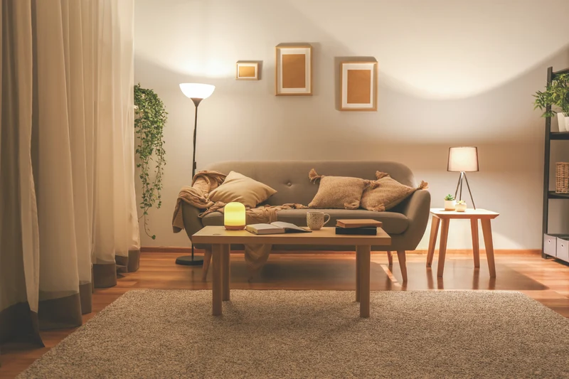 Connect SmartHome Smart Wi-Fi Plug with Dual USB Ports