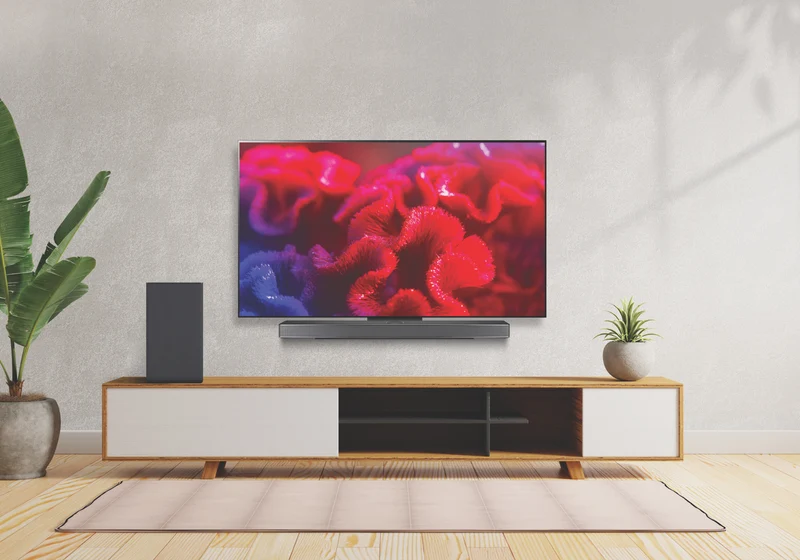LG 55" OLED EVO C4 4K Smart TV 24