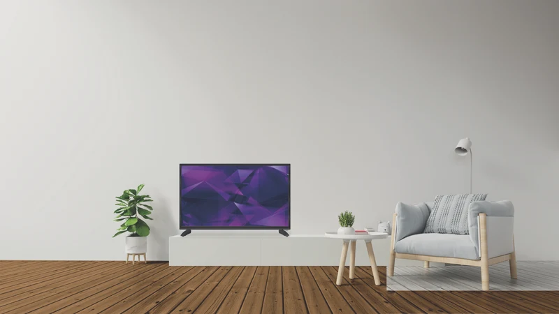 Linsar 24" HD WebOS Smart TV with 12V Adaptor