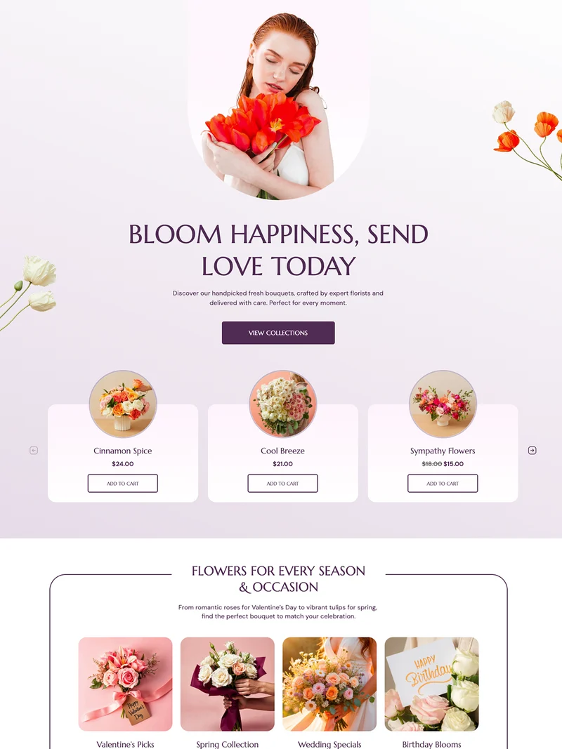 10+ EComposer Landing Package