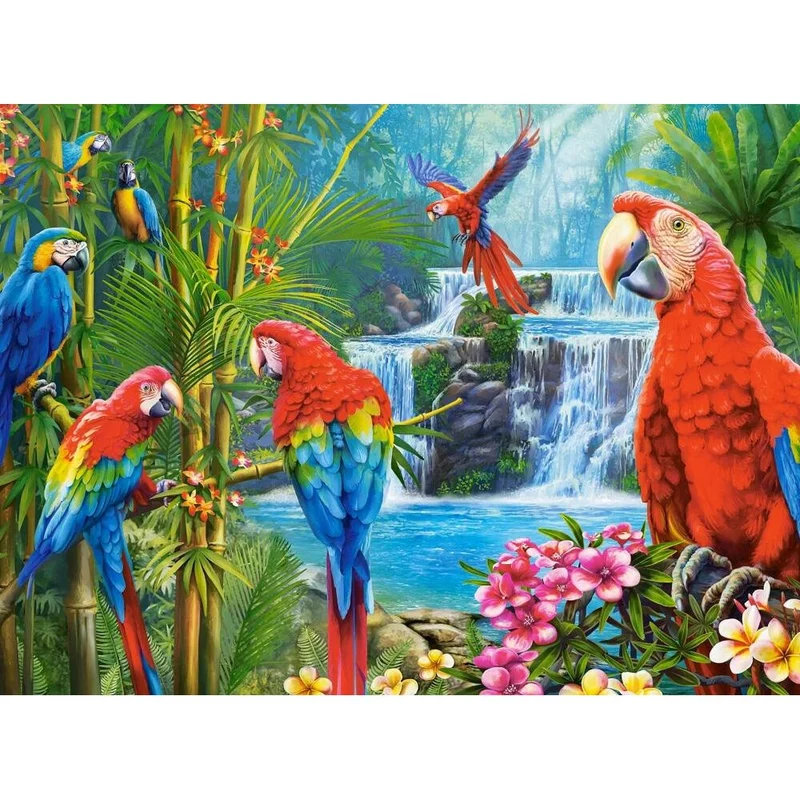 Castorland 2000-Pieces Parrot Meeting Puzzle