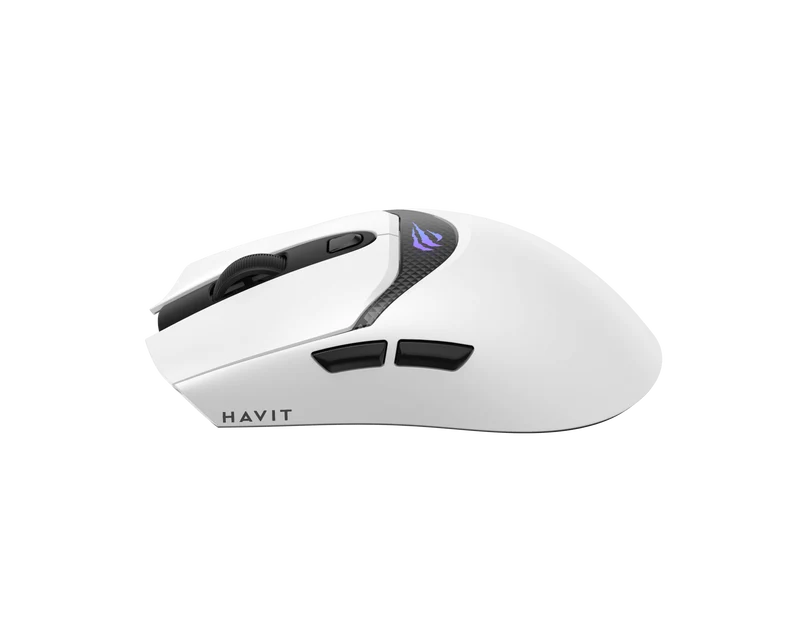HAVIT Tri-Mode Gaming Mouse HOUYI-M4 Pro